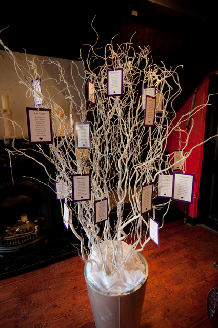 Lisa and Shane Wedding February 2011 - Kinnity Castle
