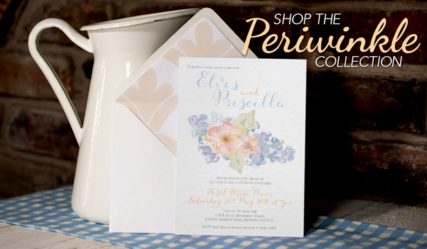 Shop-the-Periwinkle-Collection