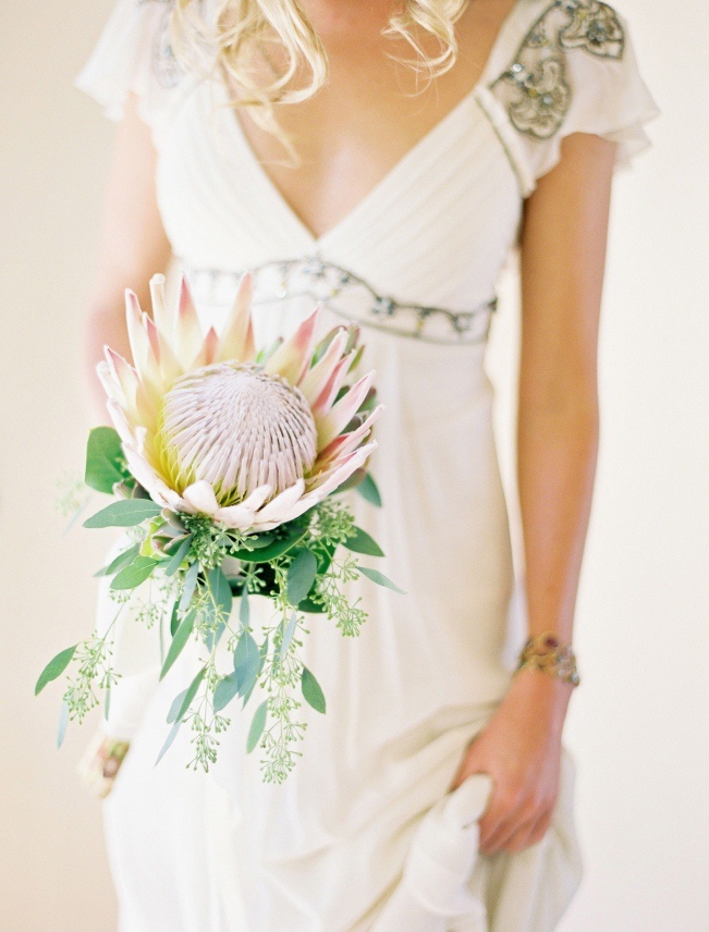 Sweet-Violet-Bride-Protea-